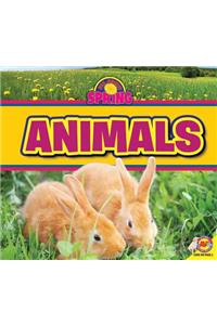 Animals