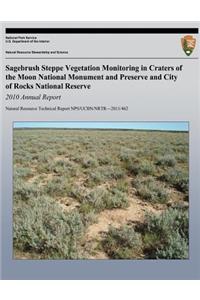 Sagebrush Steppe Vegetation Monitoring in Craters of the Moon National Monument and Preserve and City of Rocks National Reserve 2010 Annual Report