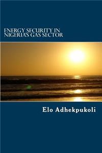 Energy Security In Nigeria's Gas Sector