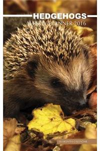 Hedgehogs Weekly Planner 2016