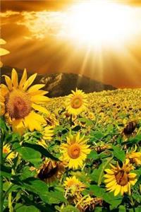 MindBlowing Nature Journal 25