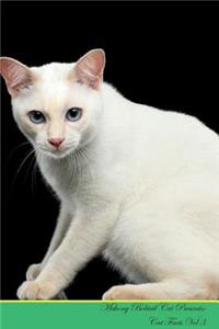 Mekong Bobtail Cat Presents