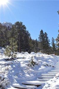 Ponderosa Pine Tree Journal