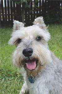 Say Hello to the Schnauzer Dog Journal