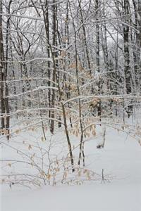 Journal Winter Weather Pretty Scene