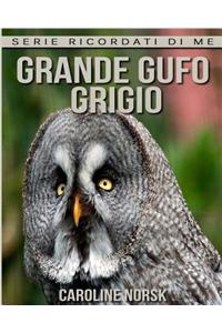 Grande Gufo Grigio