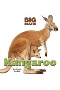 Kangaroo