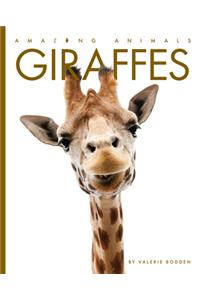 Giraffes