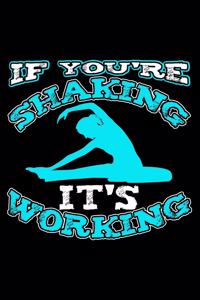 If You're Shaking It's Working