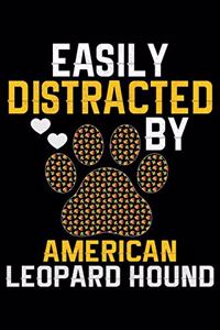 Easily Distracted by American Leopard Hound