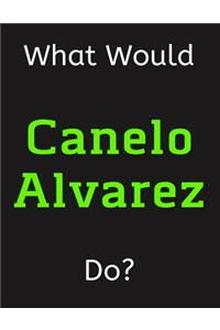 What Would Canelo Alvarez Do?