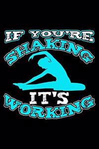 If You're Shaking It's Working