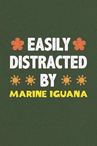 Easily Distracted By Marine Iguana