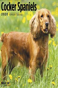 COCKER SPANIELS CALENDAR 2020