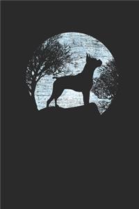 Moon Boxer