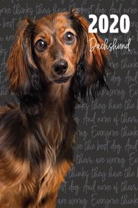 2020 Dachshund