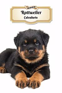 2020 Rottweiler Calendario