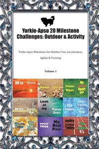 Yorkie-Apso 20 Milestone Challenges