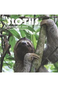 Sloths Calendar 2019