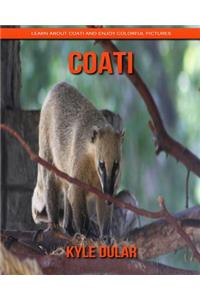 Coati! Learn about Coati and Enjoy Colorful Pictures