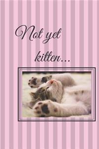 Not Yet Kitten...