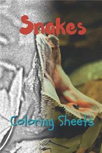 Snake Coloring Sheets