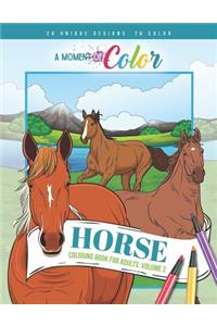 Horse Coloring Book for Adults Volume 2