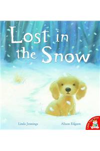 Lost in the Snow
