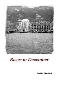 Roses in December