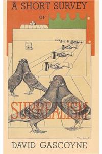 A Short Survey of Surrealism