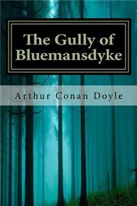 The Gully of Bluemansdyke