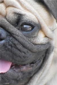 My Pug Notebook