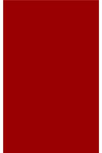 Brick Red 101 - Blank Notebook