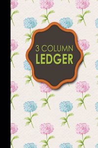 3 Column Ledger