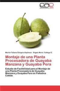 Montaje de Una Planta Procesadora de Guayaba Manzana y Guayaba Pera