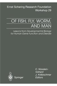 Of Fish, Fly, Worm, and Man