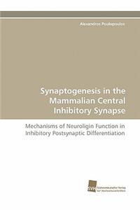 Synaptogenesis in the Mammalian Central Inhibitory Synapse