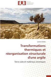 Transformations Thermiques Et Réorganisation Structurale d'Une Argile