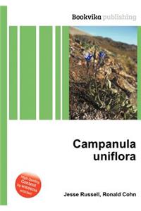 Campanula Uniflora