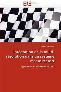 Intégration de la Multi-Résolution Dans Un Système Masse-Ressort