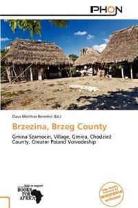 Brzezina, Brzeg County