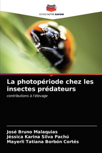 photopériode chez les insectes prédateurs