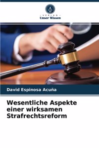 Wesentliche Aspekte einer wirksamen Strafrechtsreform