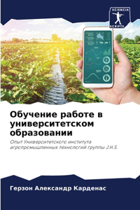 Обучение работе в университетском образ