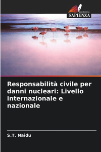 Responsabilità civile per danni nucleari: Livello internazionale e nazionale