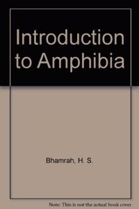 Introduction To Amphibia