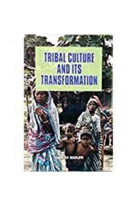 Tribal Culture and Its Transformation