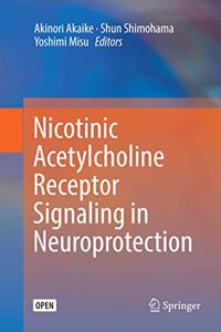 Nicotinic Acetylcholine Receptor Signaling in Neuroprotection