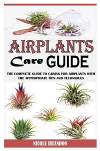Air Plants Care Guide