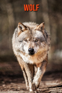 Wolf: Learn About Wolf and Enjoy Colorful Pictures